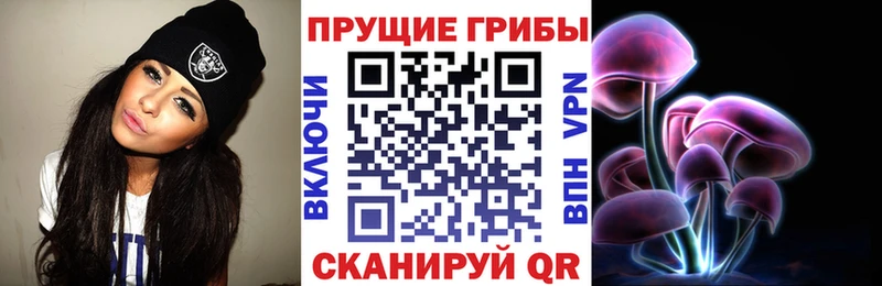 Галлюциногенные грибы Psilocybe Чаплыгин